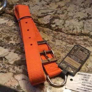 Dog collar Reflective